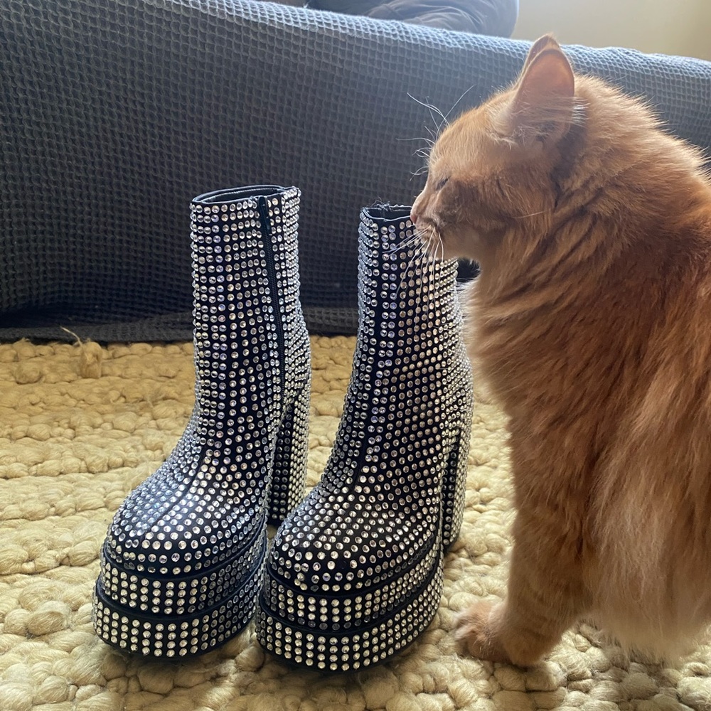 Steve Madden Cobra-R Bootie